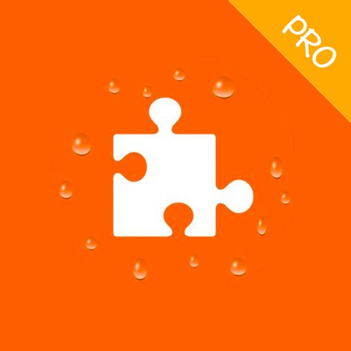 LJPuzzlePro