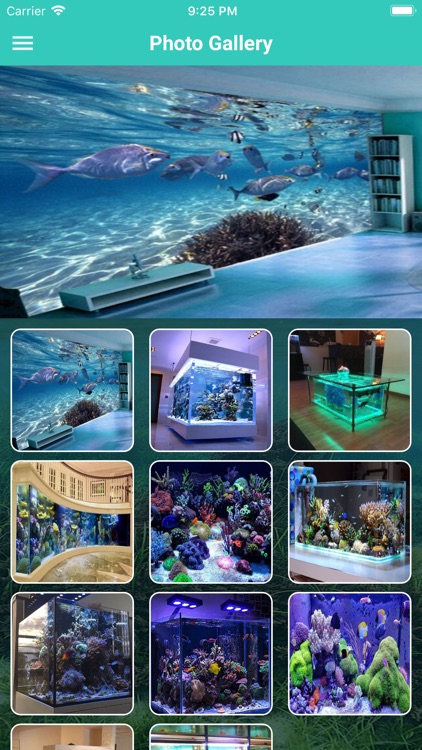 Nagpur Aquariums screenshot-4