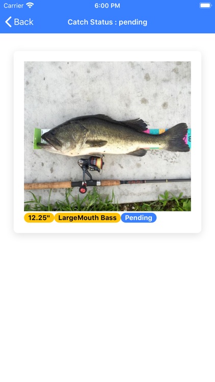 TFL - Titan Fishing League screenshot-4