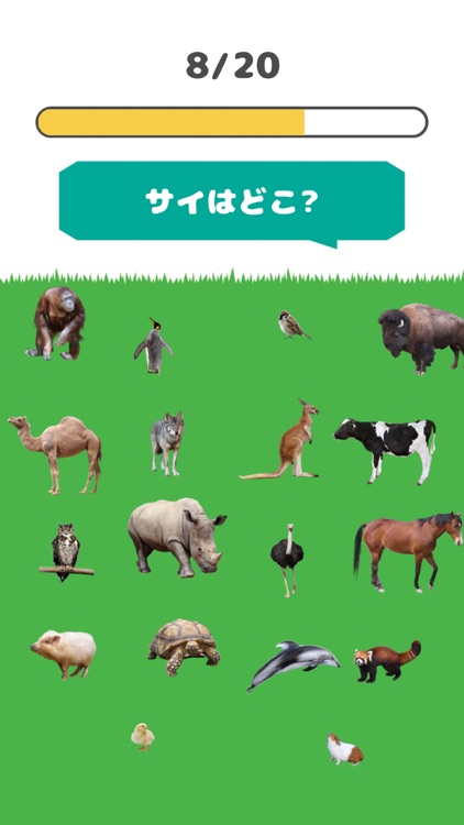 みつけて！動物王国