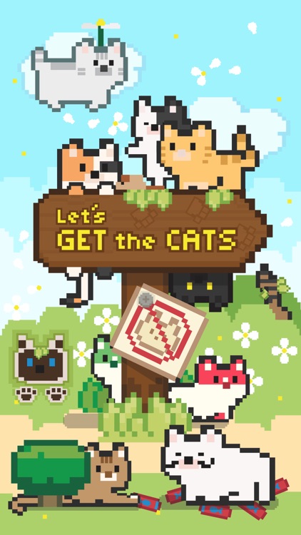 Let's Get the Cats: Cute Cats