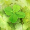 7Leaf 7Leaf