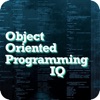 Object Oriented Programming IQ