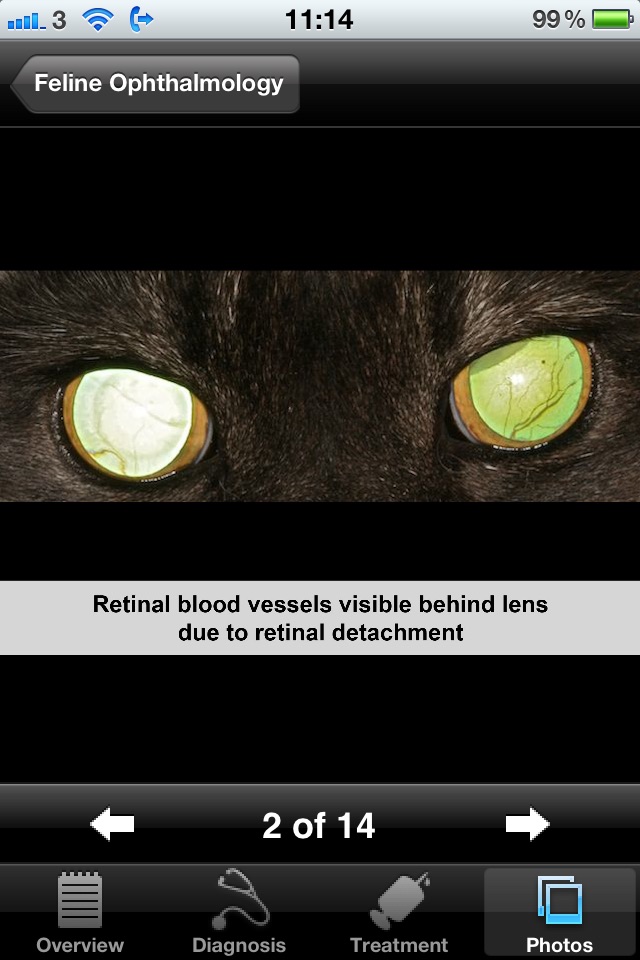 Feline Ophthalmology screenshot 3