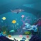 "Sea animal adventure" is a puzzle game that trains the player's mathematical ability through cartoon cards