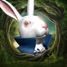 Activities of Alice in Wonderland AR quest