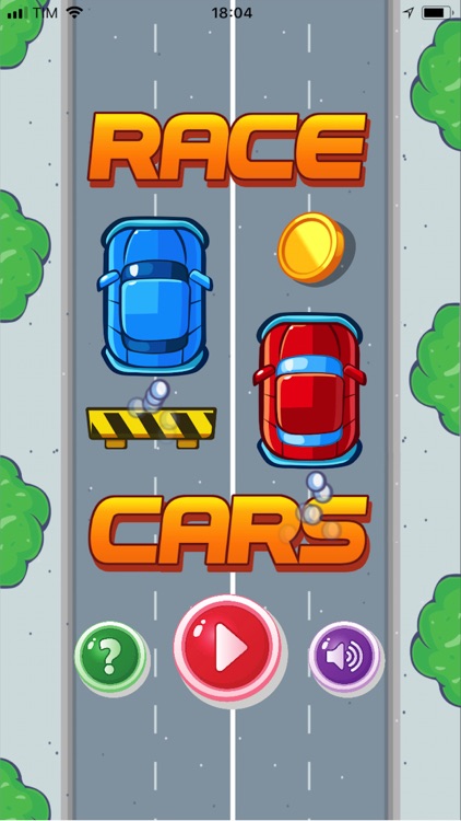 Race Cars: Avoid the Obstacles by Gaetano La Delfa