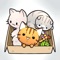 Welcome to Cat Condo 2