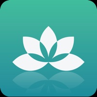 Yoga Studio: Beginner Classes PC 용