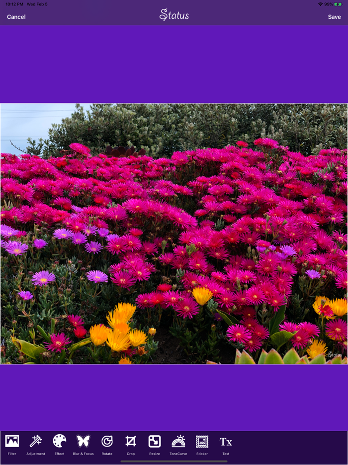 Status - Select, Type  Share