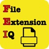 File Extension IQ