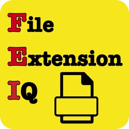 File Extension IQ