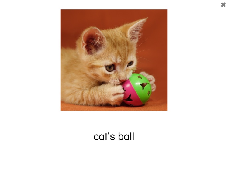 See and Learn Phrases 1
