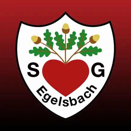 SG Egelsbach Читы