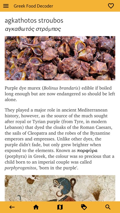 Greek Food Decoder screenshot-8