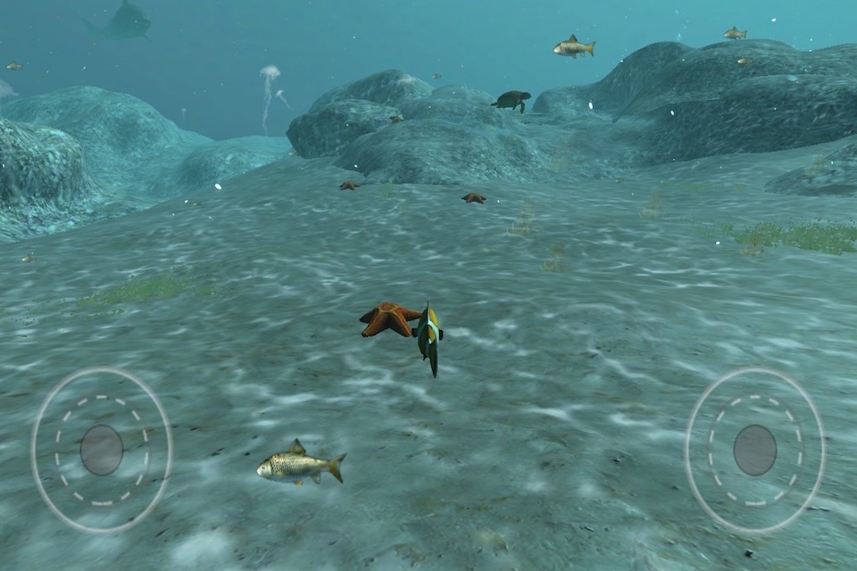 Real Fish Simulator screenshot 2