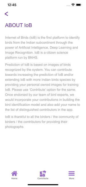 Internet of Birds(圖8)-速報App