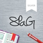 SPaG Silver: Lower KS2