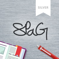 SPaG Silver: Lower KS2 pour PC
