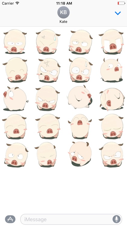 Little Pig 02