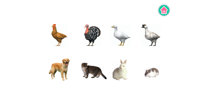 PicDic - Animals Eng-Chinese