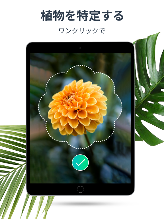 PlantSpot Plant Identificationのおすすめ画像1