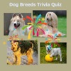 Dog Breeds Trivia Quiz