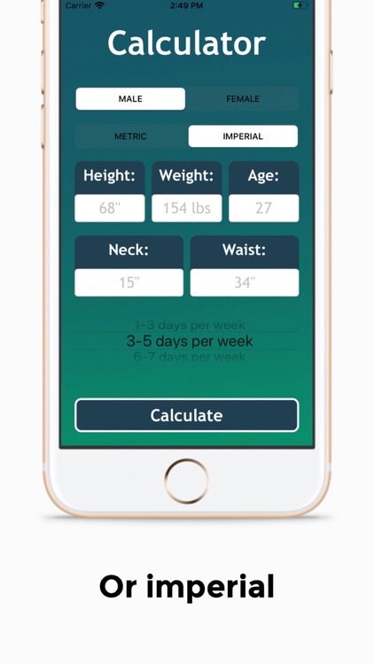 Body Calculator 2