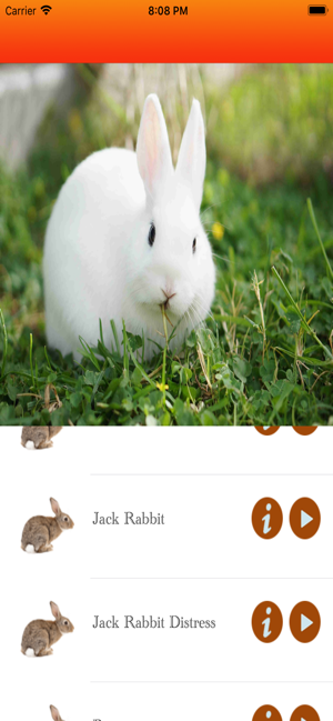 Rabbit Hunting calls(圖3)-速報App