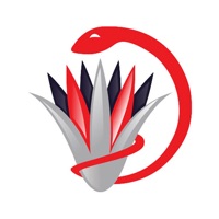 Misr pharmacies - صيدليات مصر