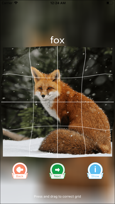 Animal Puzzle Training screenshot 3