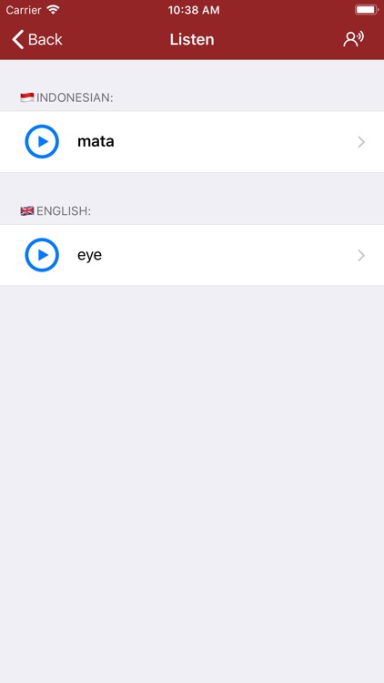 20 Indonesian Dictionaries