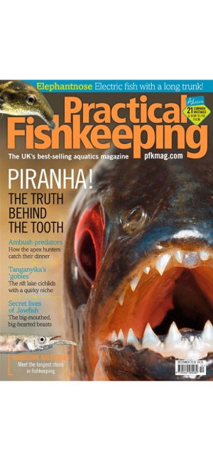 PFK: Practical Fishkeeping(圖7)-速報App