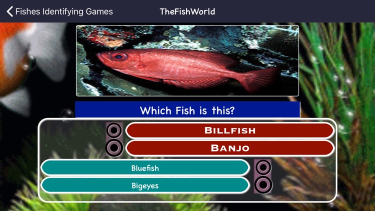 Fishes Identifying Games