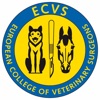 ECVS Budapest 2019 hungary budapest 