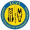 28th ECVS Annual Scientific Meeting 2019 in Budapest, Hungary