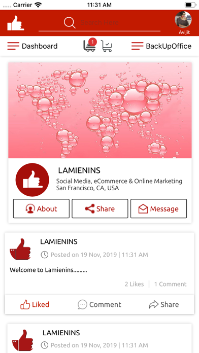 Lamienins screenshot 2