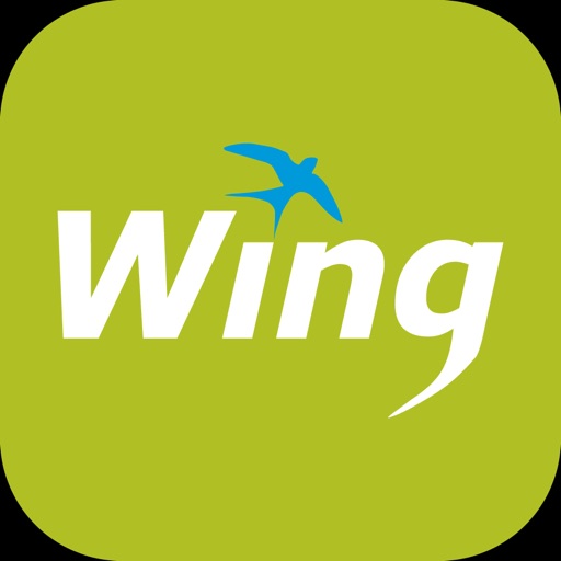 Wing Money
