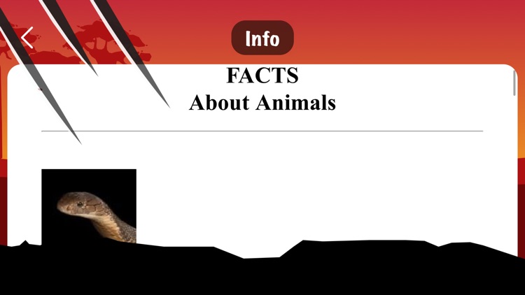 YouKnowAnimal screenshot-5