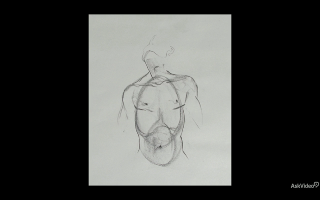 Figure Drawing Course by A.V.(圖4)-速報App