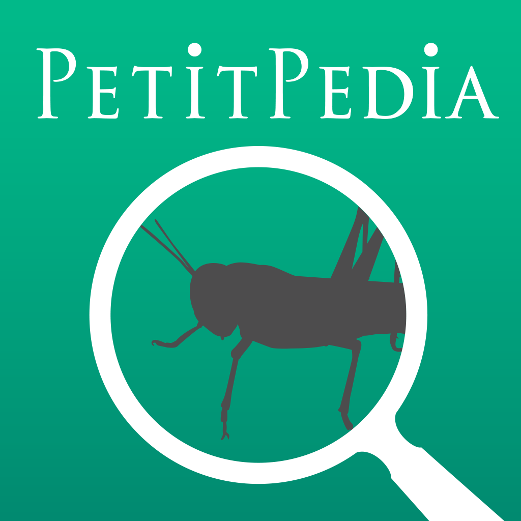 美しい写真図鑑 にほんの昆虫 プチペディア Iphoneアプリ Applion