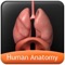 Human Anatomy Explorer app is a quick reference app that contains information about the ten different biological systems present in the human body in a visual and engaging manner