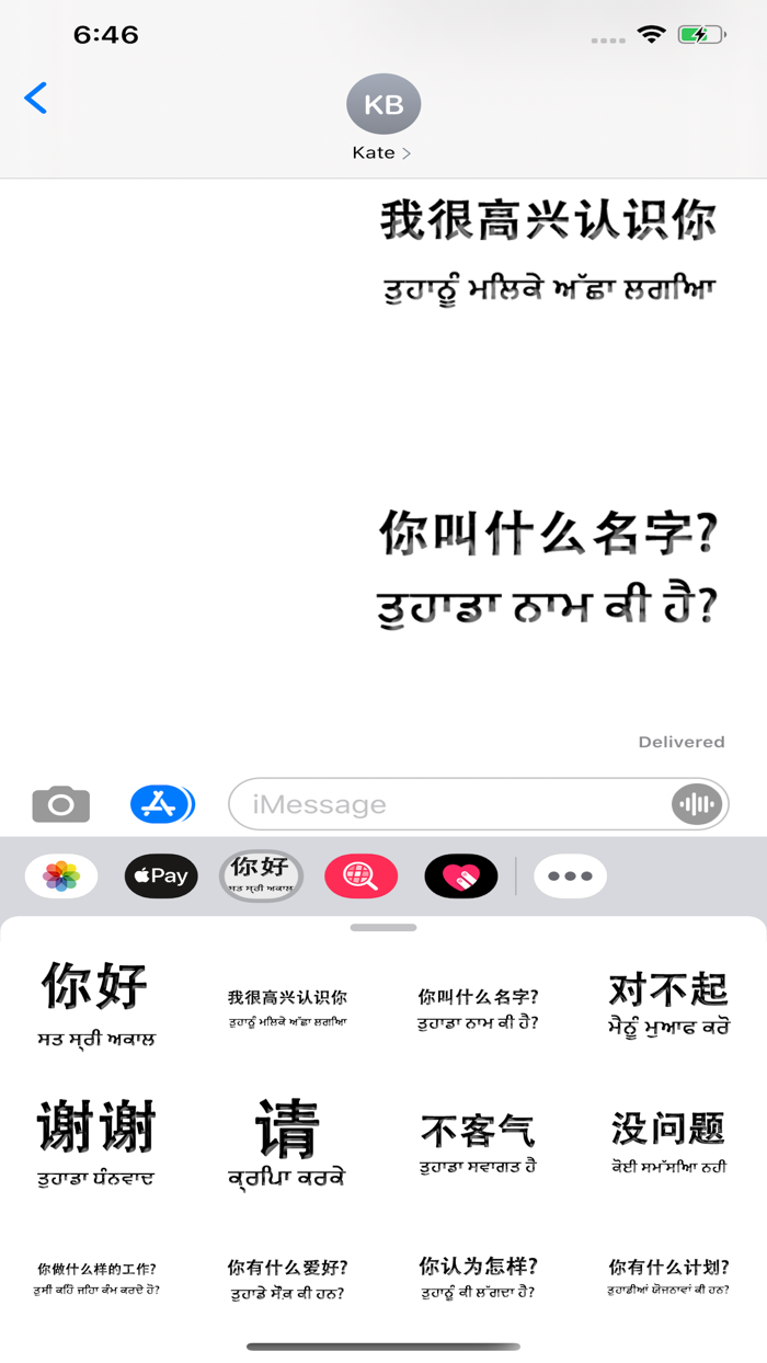 Punjabi Chinese