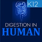 Top 30 Education Apps Like Human Digestive System - Best Alternatives
