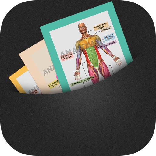 Anatomy Cards iOS App