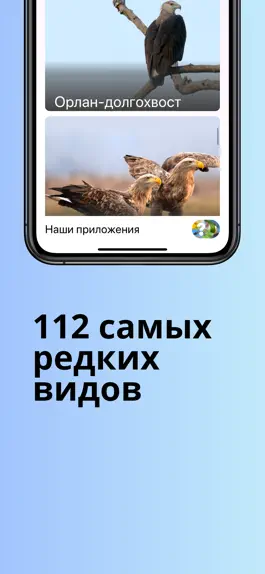 Game screenshot Птицы Красной Книги России apk
