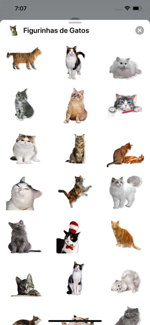 Figurinhas de Gatos(圖1)-速報App