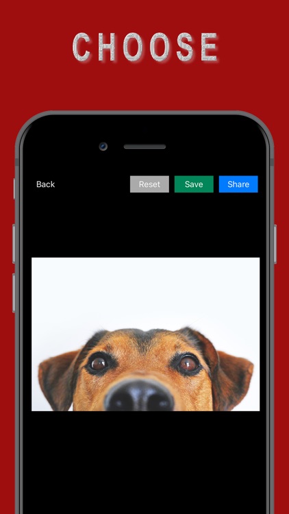 Deep Fryer Meme Generator