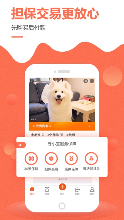 宠小宝-买卖宠物猫狗的安全交易平台