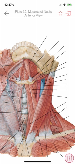 Anatomy Atlas, USMLE, Clinical(圖3)-速報App